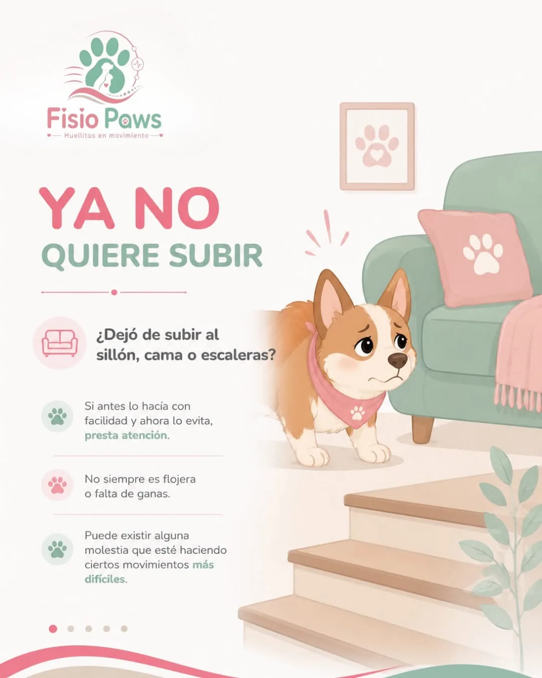 Movilidad preventiva en mascotas