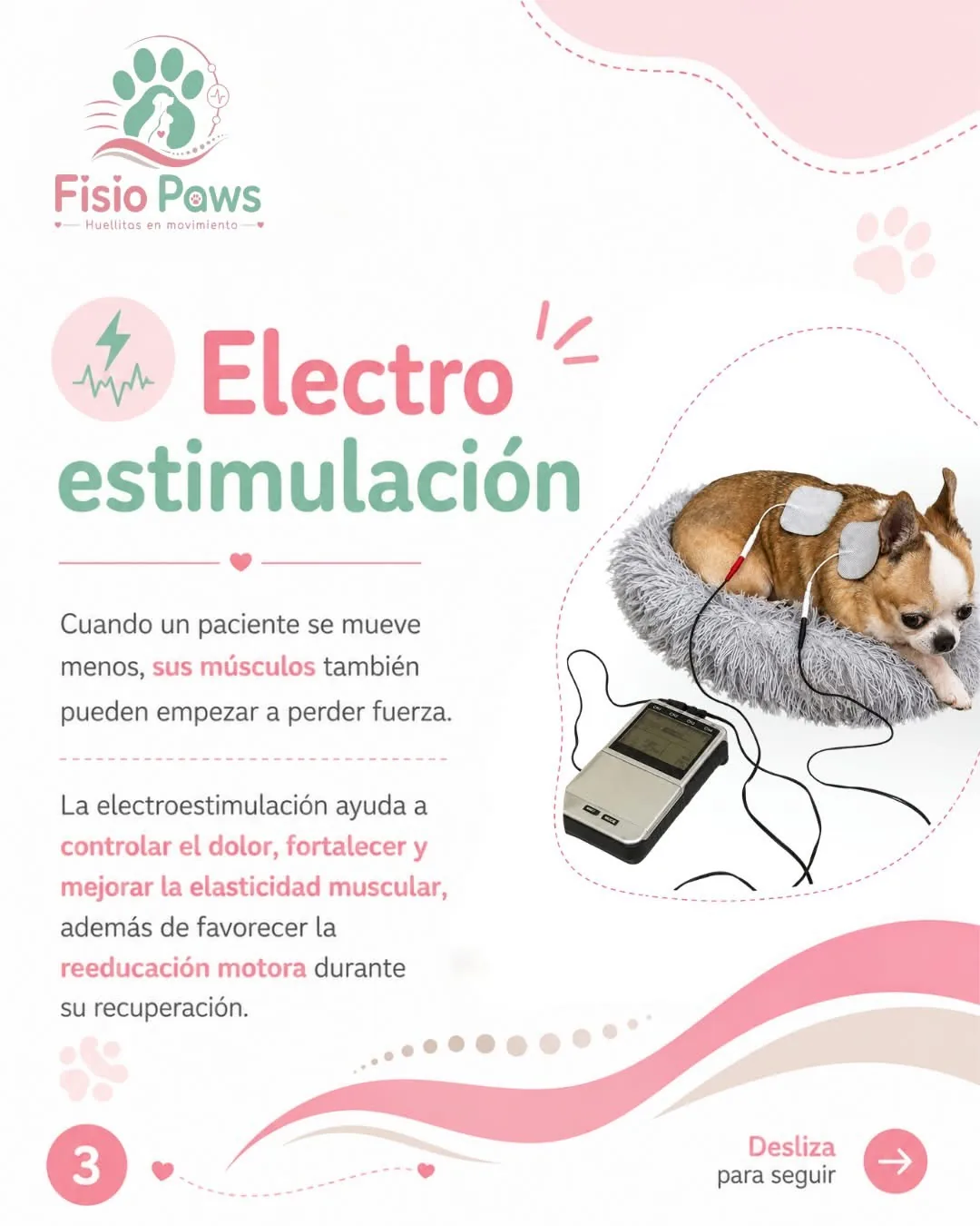 Electroestimulación veterinaria