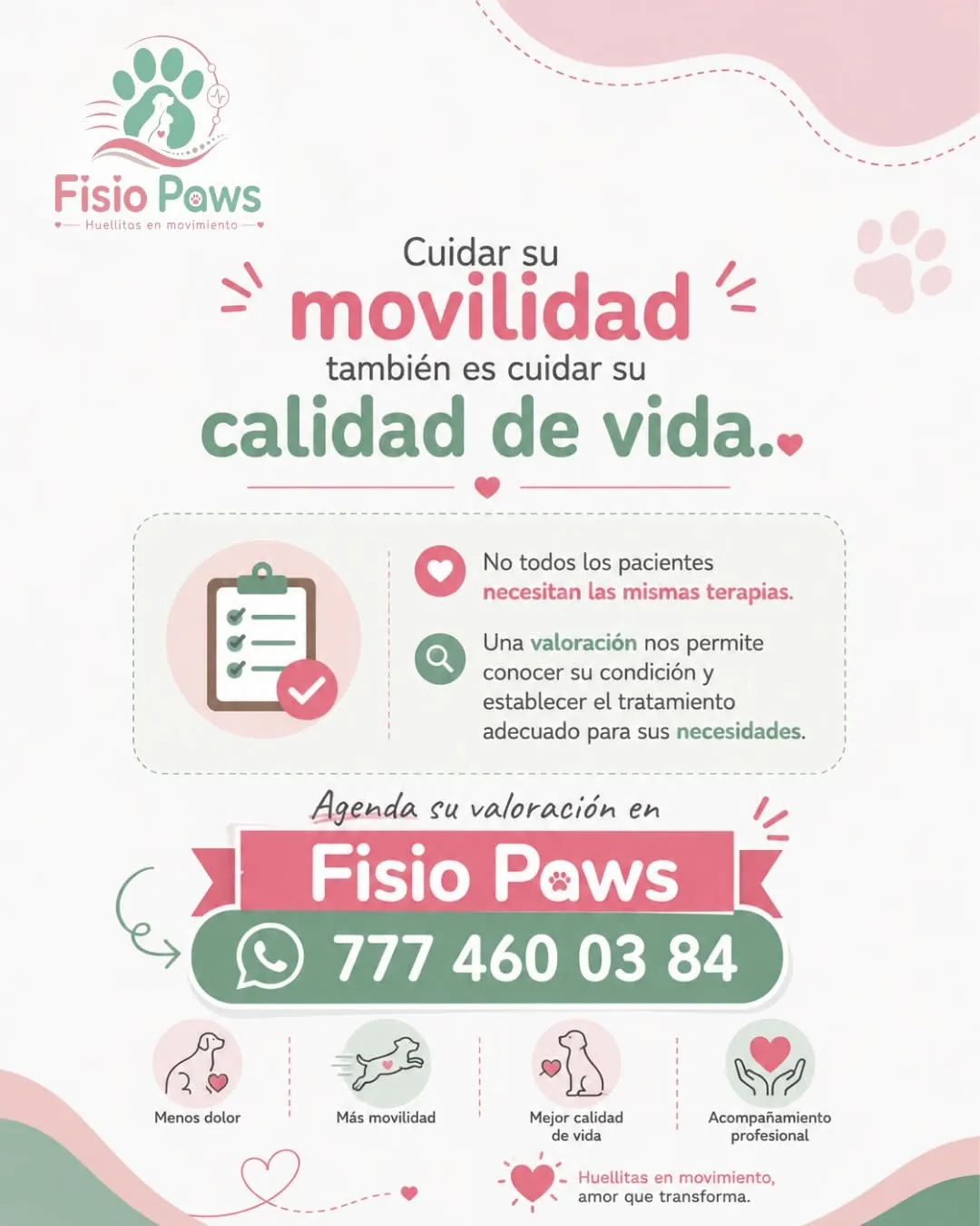 Electroestimulación en fisioterapia veterinaria